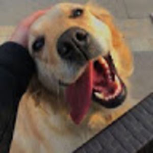 Meet your Posher, Rachael